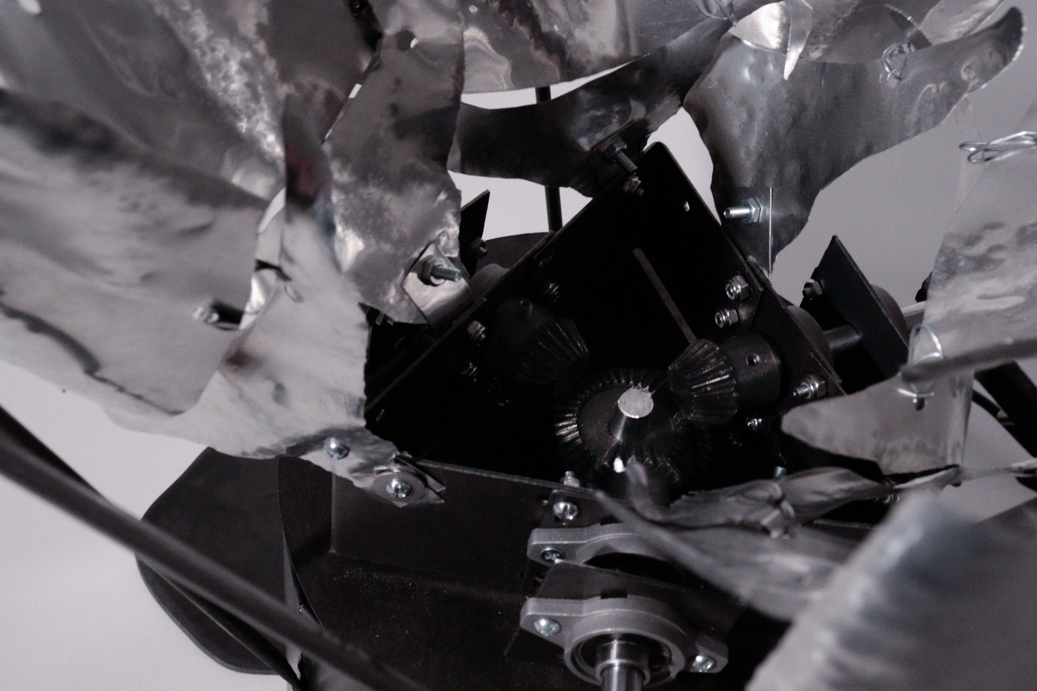 microbial fuel cell close up plant
